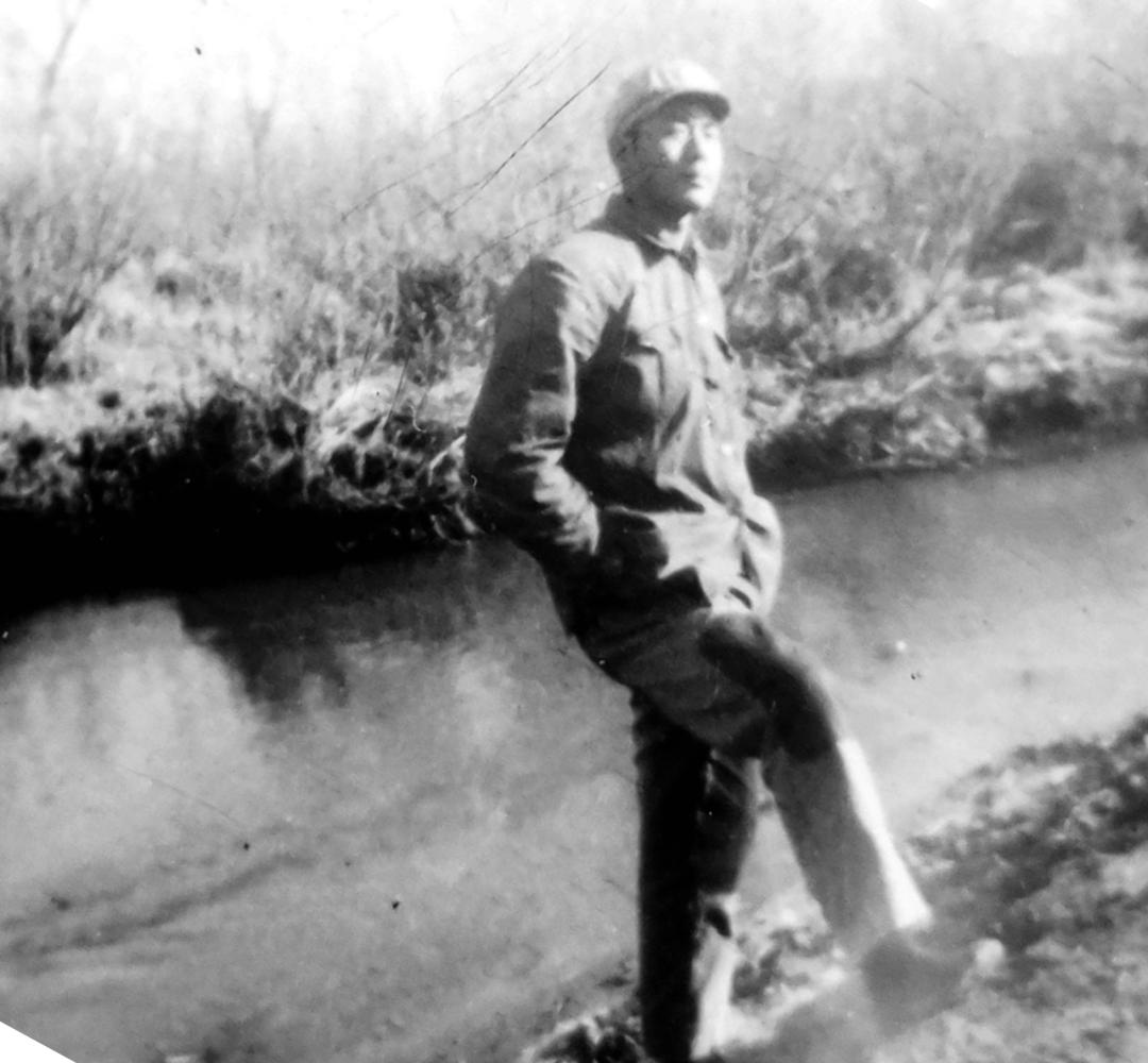 The Years on Swan Island The Great Northern Wilderness iMedia