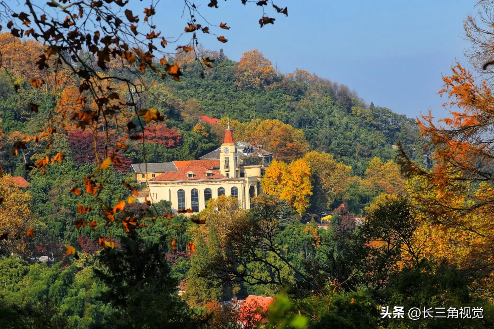 The autumn colors of Mogan Mountain are strong: as soon as Fatong turns ...