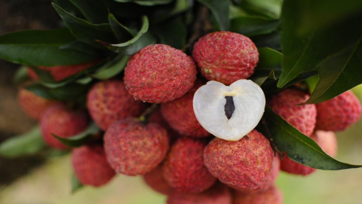 Diabetics 6 kinds of fruits increase blood sugar, it is