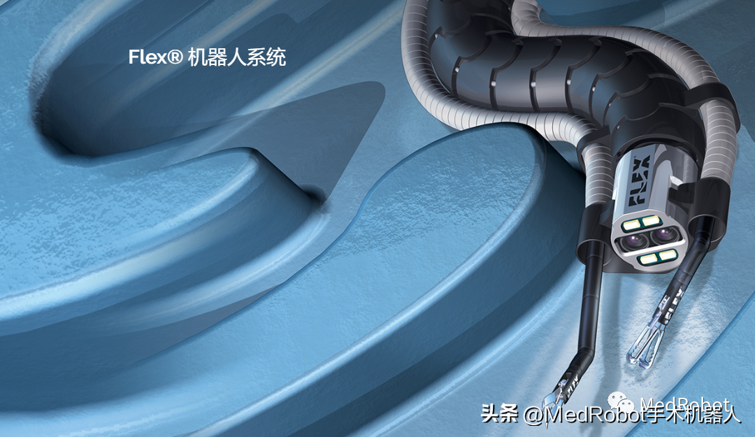 Transnatural Orifice Surgery Robot Flex iNEWS