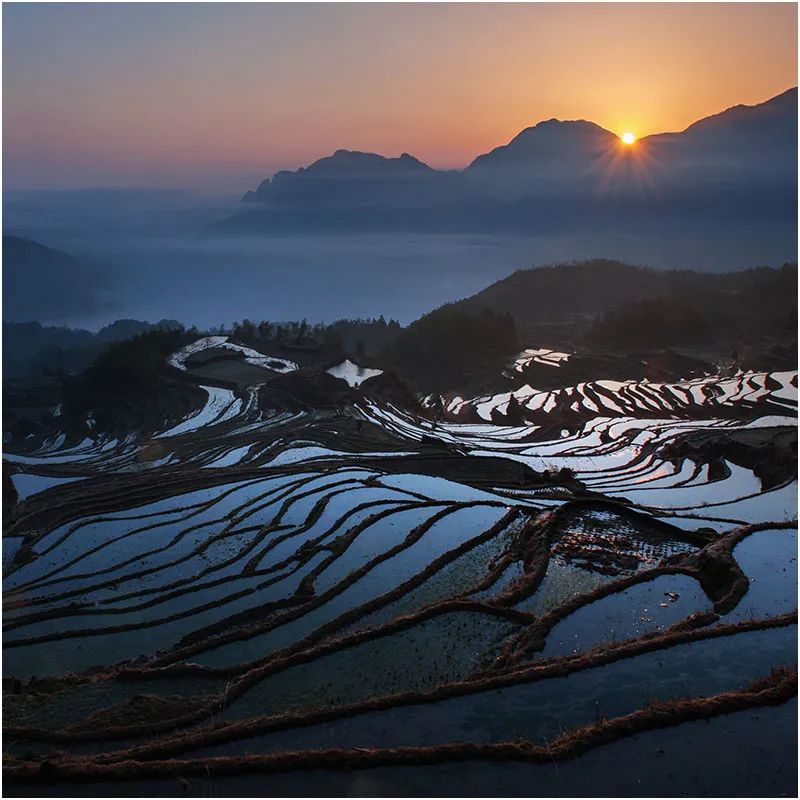 2023[April] Yunhe Terraced Fields, Oujiang Sail Shadows, Morning Tea in ...