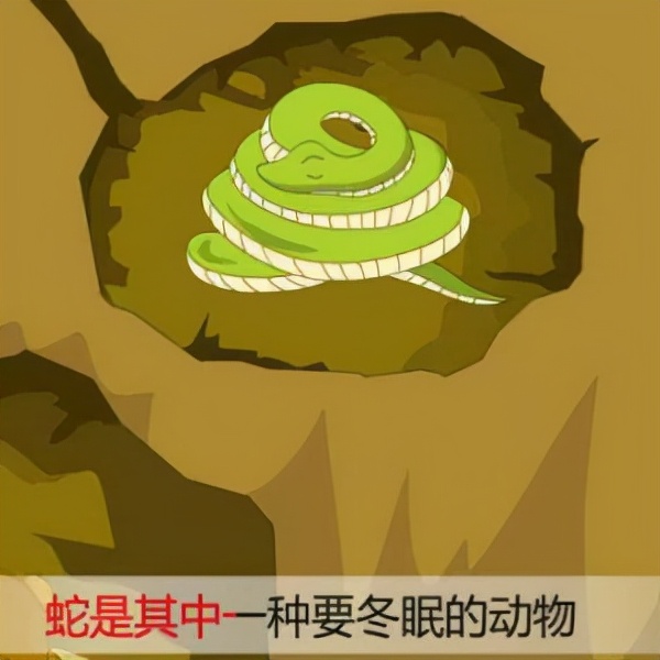 Do you know what are the weaknesses of snakes? iNEWS