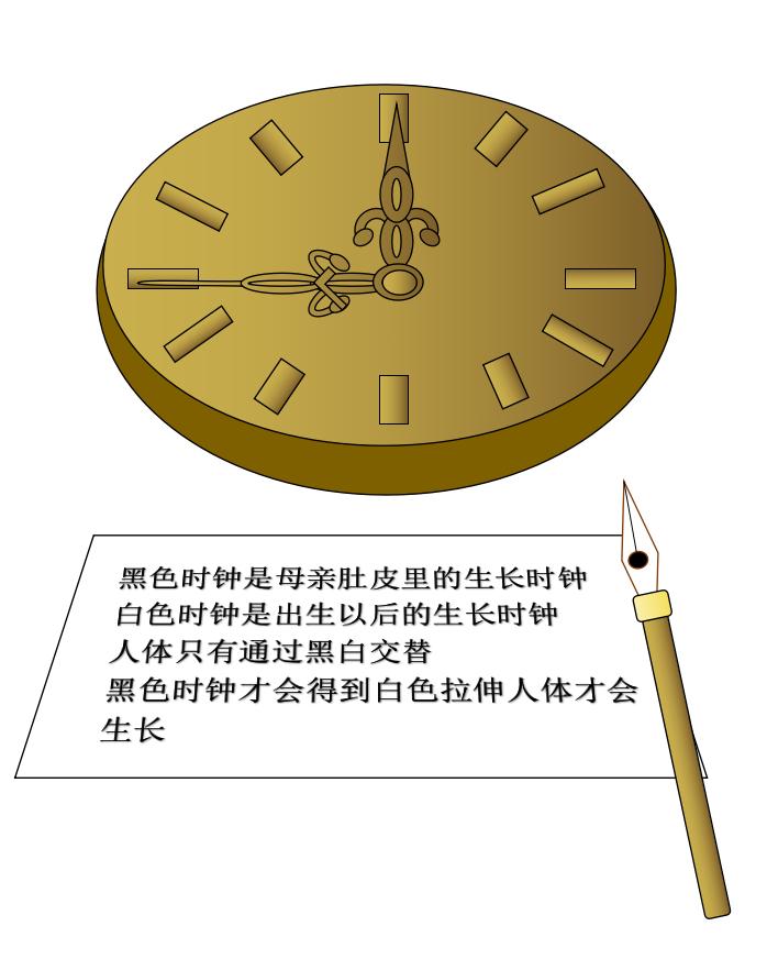 Soul Architect The Biological Clock iNEWS