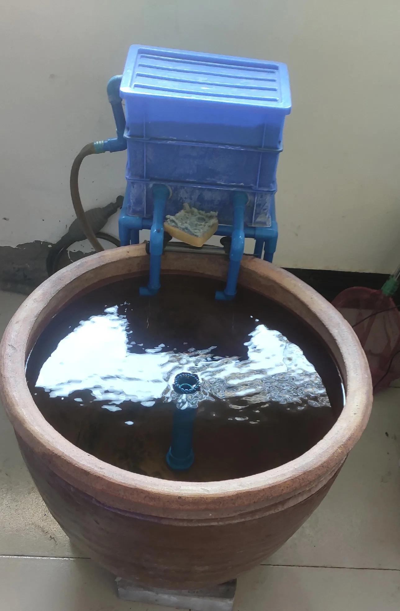 Why do fish tank fish ponds need to install filters iNEWS