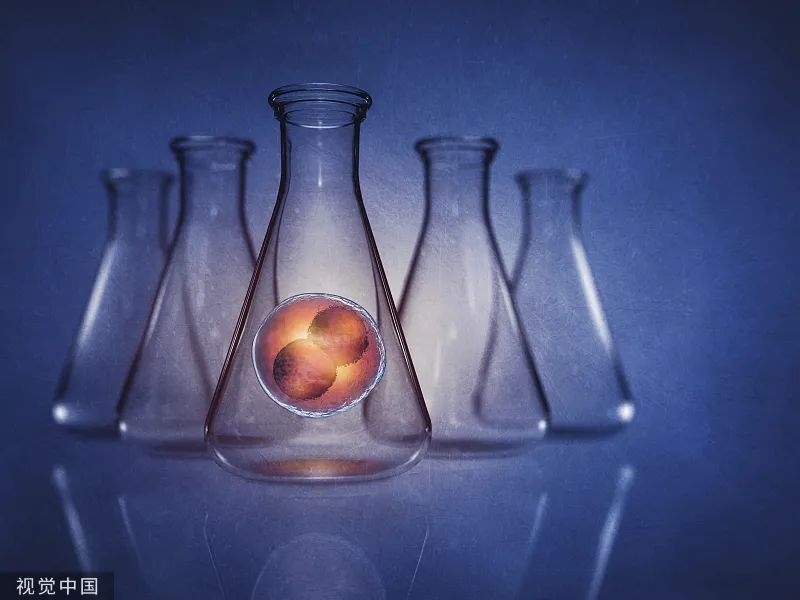 Can women who do not want to give birth, dare not give birth, and are