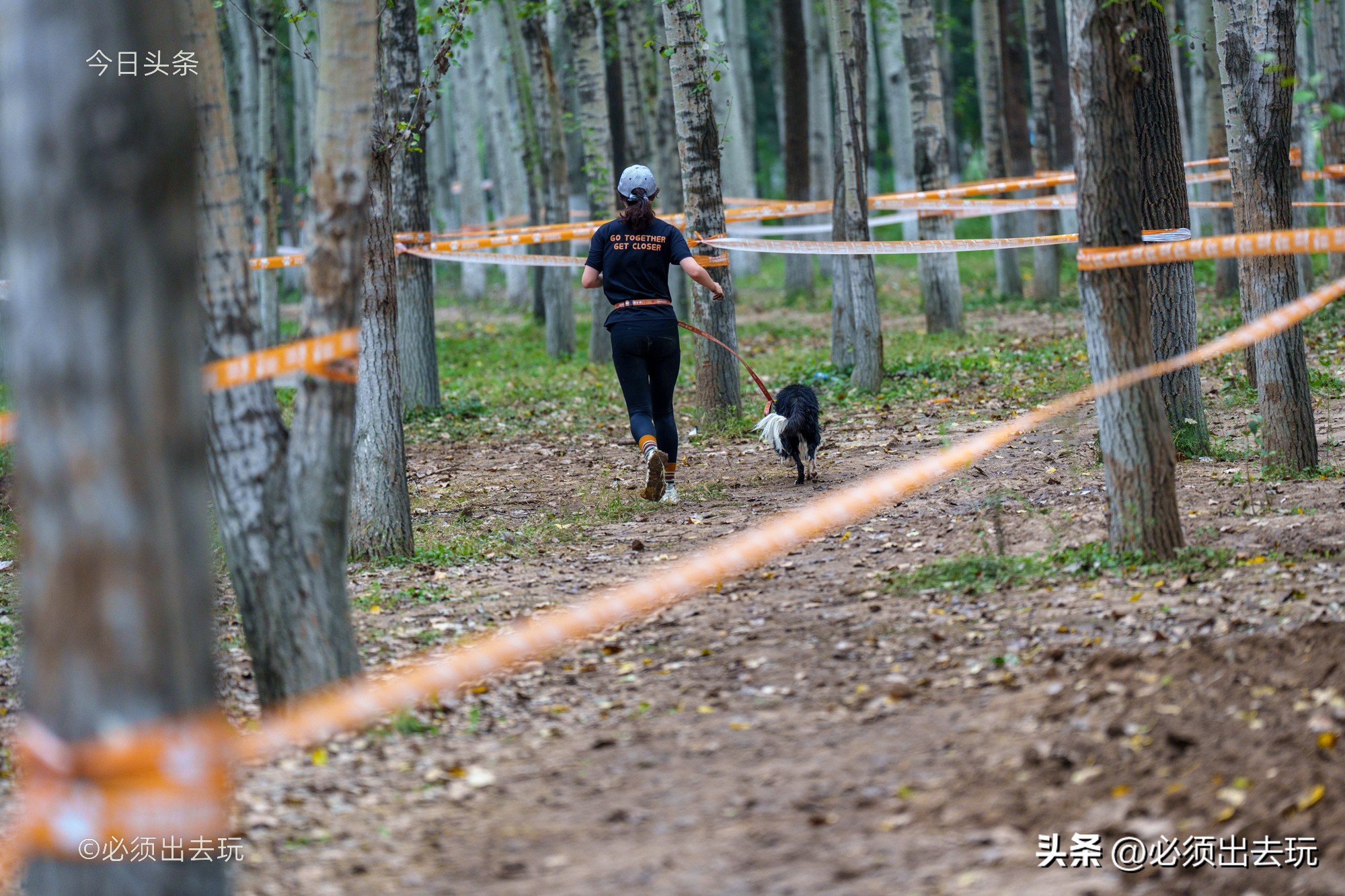 Dog Buddy kicks off!Let's roll in the mud iNEWS