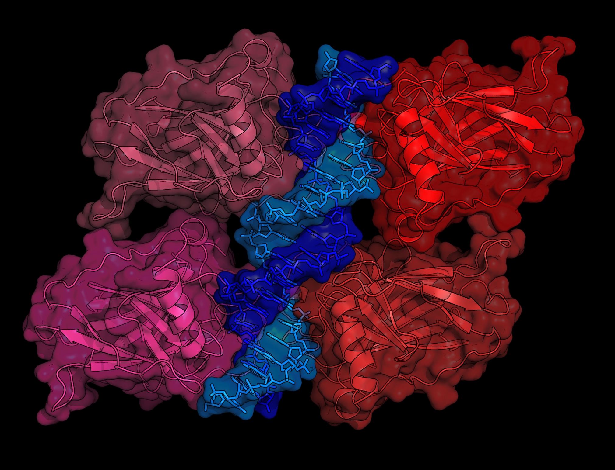 What is the secret of chromosome 17?Can humans unlock this cancer