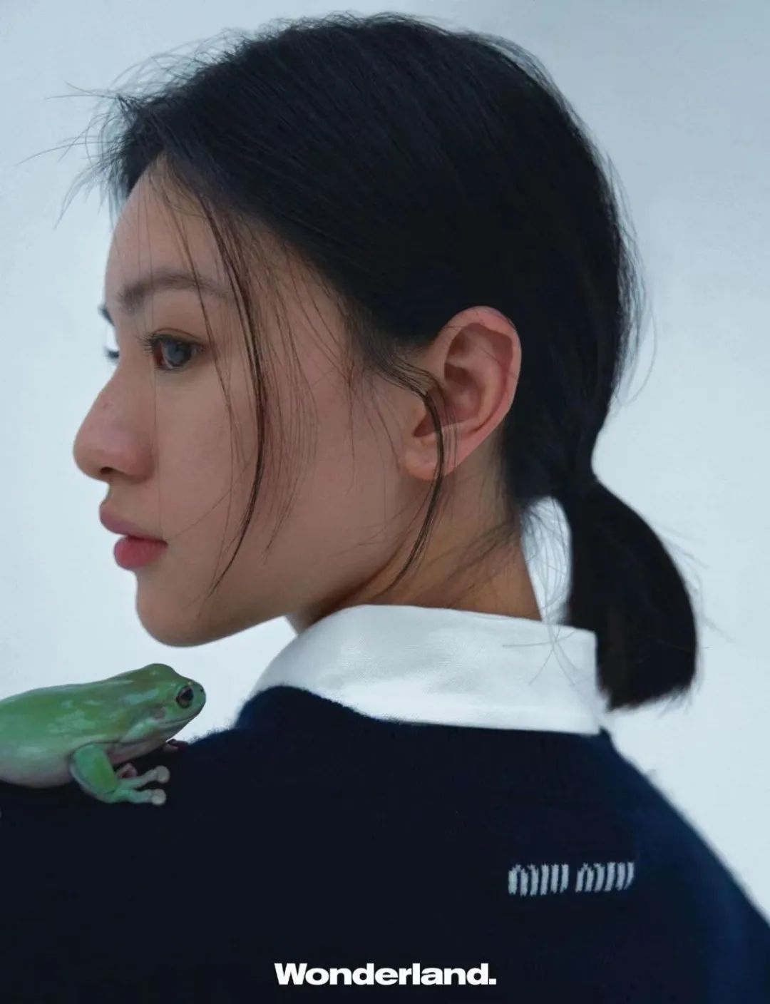 Opportunities For The Pet Fashion Industry INEWS opportunities-for-the-pet-fashion-industry-inews