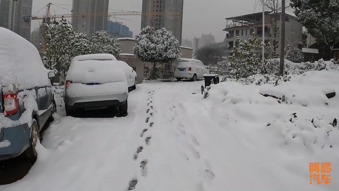 Should I turn off ESP when driving in snow?Brother Meow will test it