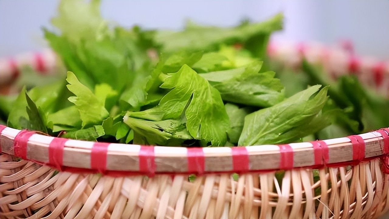 Can I eat the leaves of celery? Perhaps many people are not clear, it