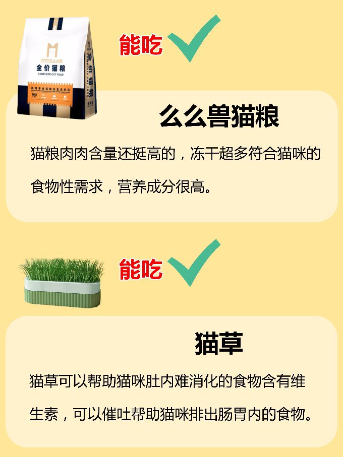 Cat food quick checklist, don't feed cats without iron stomach iNEWS