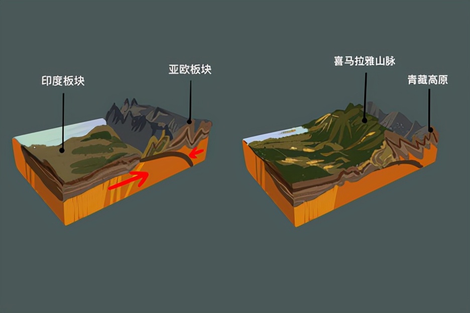 Why are there "fossils of marine life" on Mount Everest? iMedia