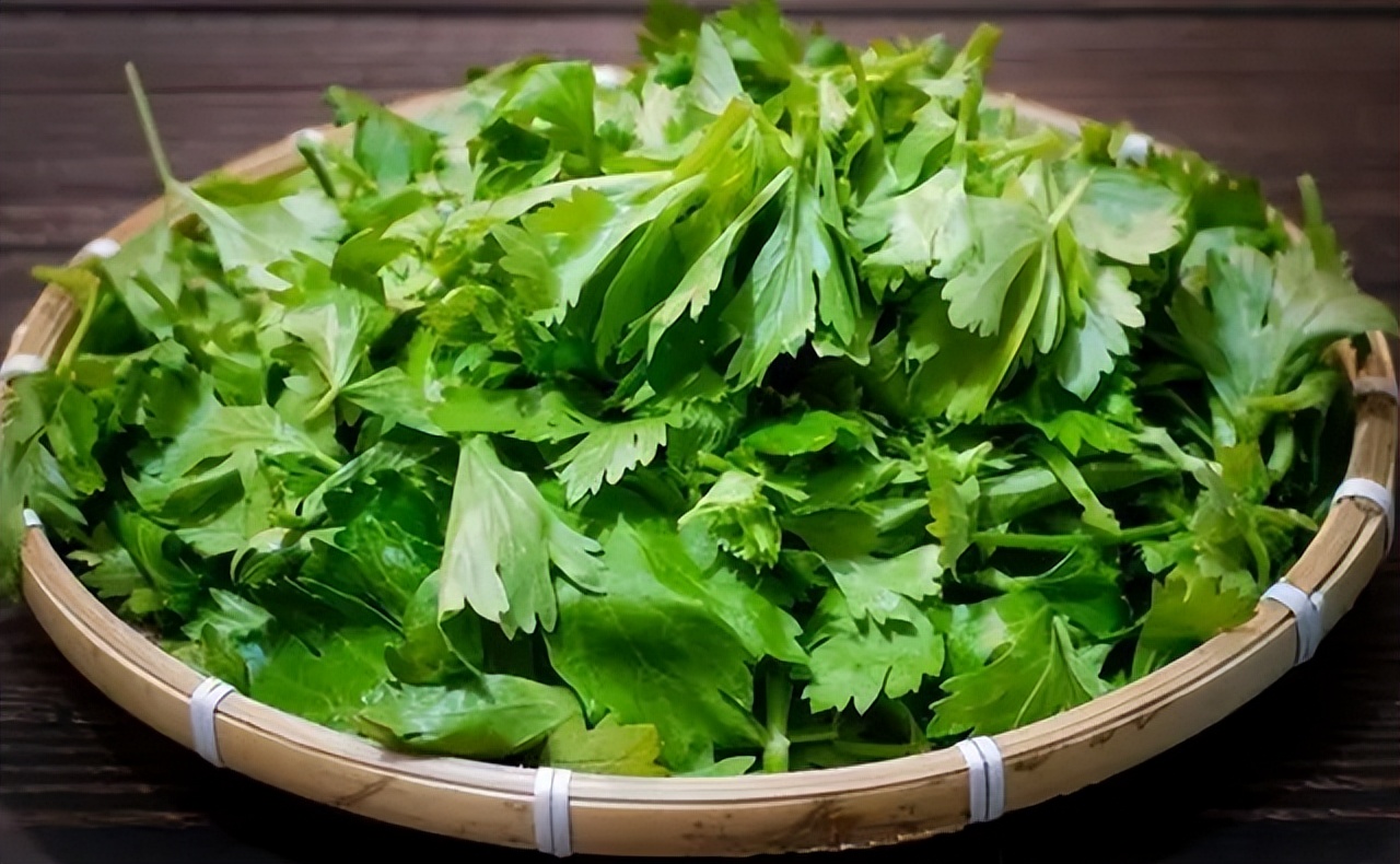 Can I eat the leaves of celery? Perhaps many people are not clear, it