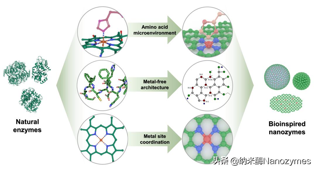 New ideas for nanozyme design inspired by natural enzymes - iNEWS