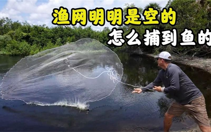 How do fishing nets work? The bottom is obviously empty, but it can catch a lot of fish iMedia