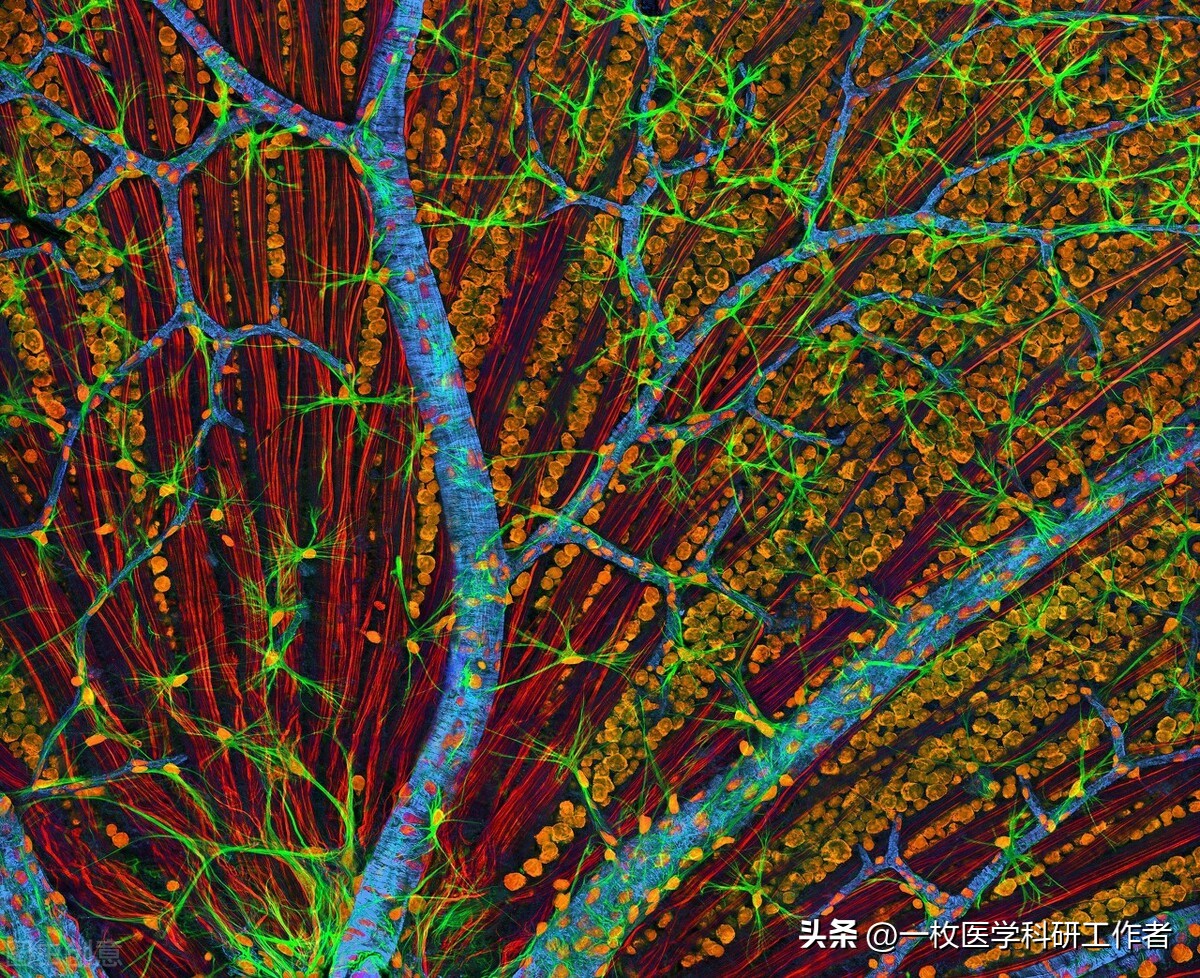 This drink is very dangerous and even causes blindness, but you treat