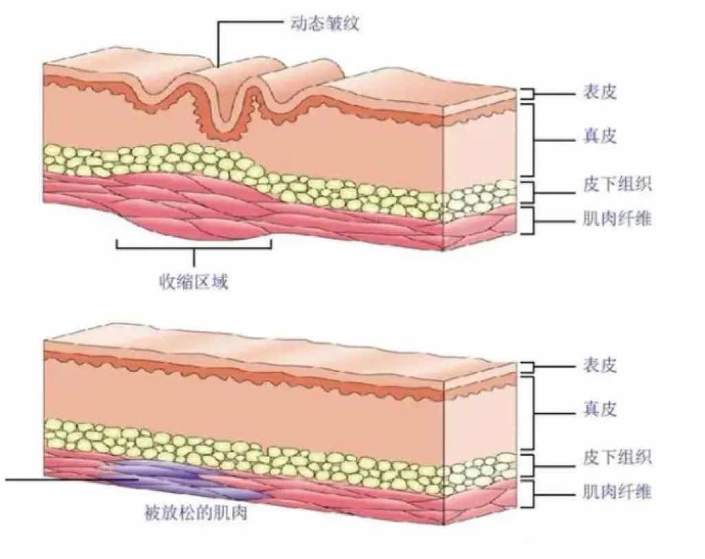 Why do celebrities put straws at the corners of their mouths when they drink water? iNEWS