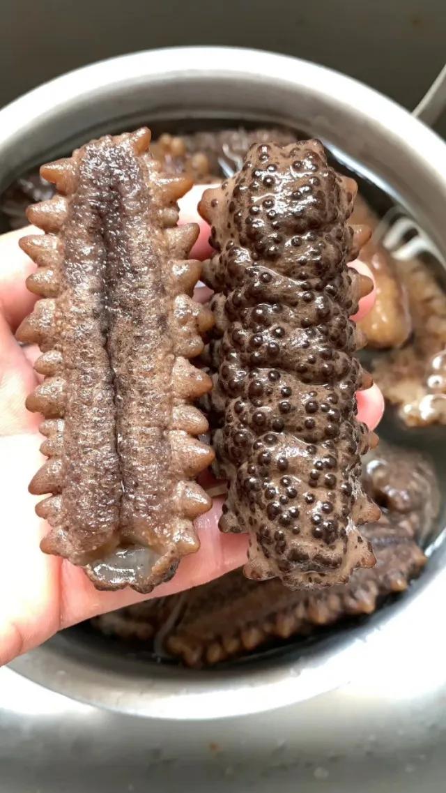 Learn about four types of seafood that are not afraid of gout.It's