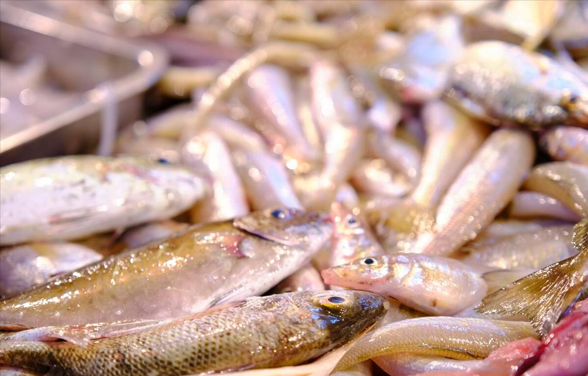 This kind of fish should be eaten less! Remind everyone Hold back no