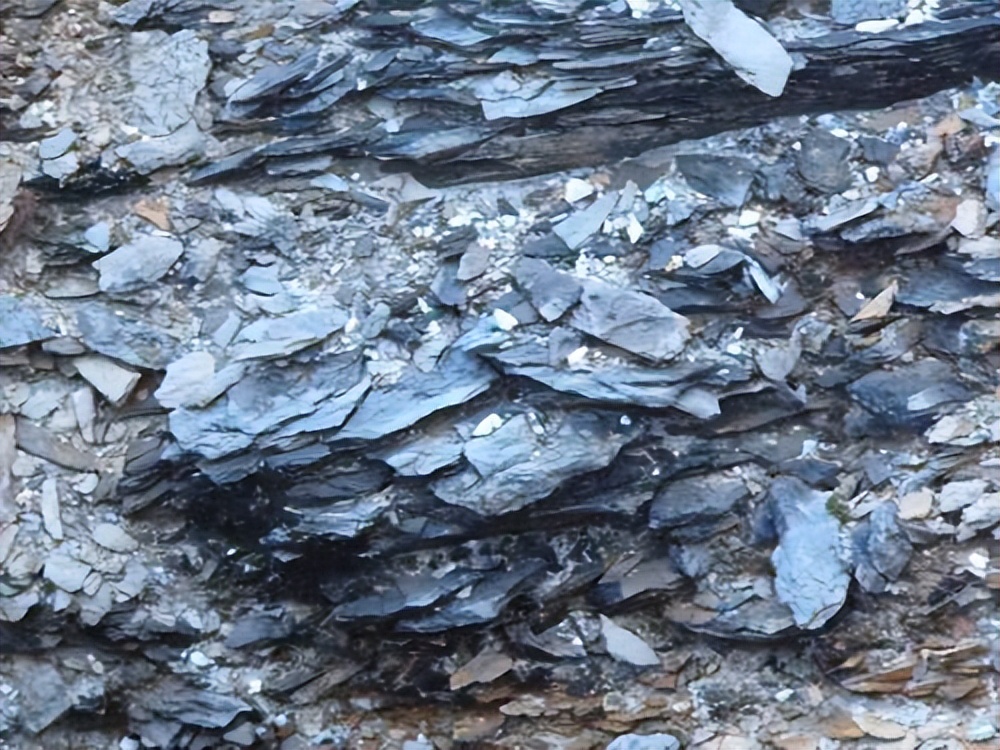 Geochemical characteristics of the ophiolite complex and volcanic rock ...