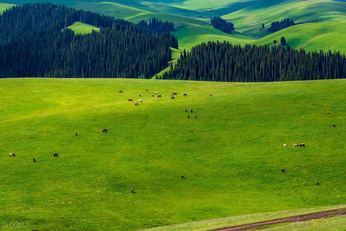 Xinjiang in June is a paradise that gathers all the beauty of the world ...