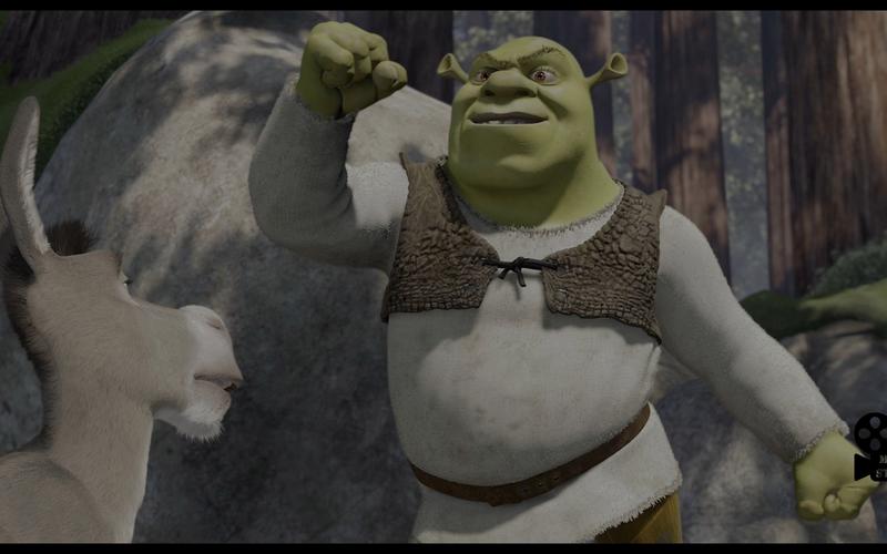 Shrek Reflection In
