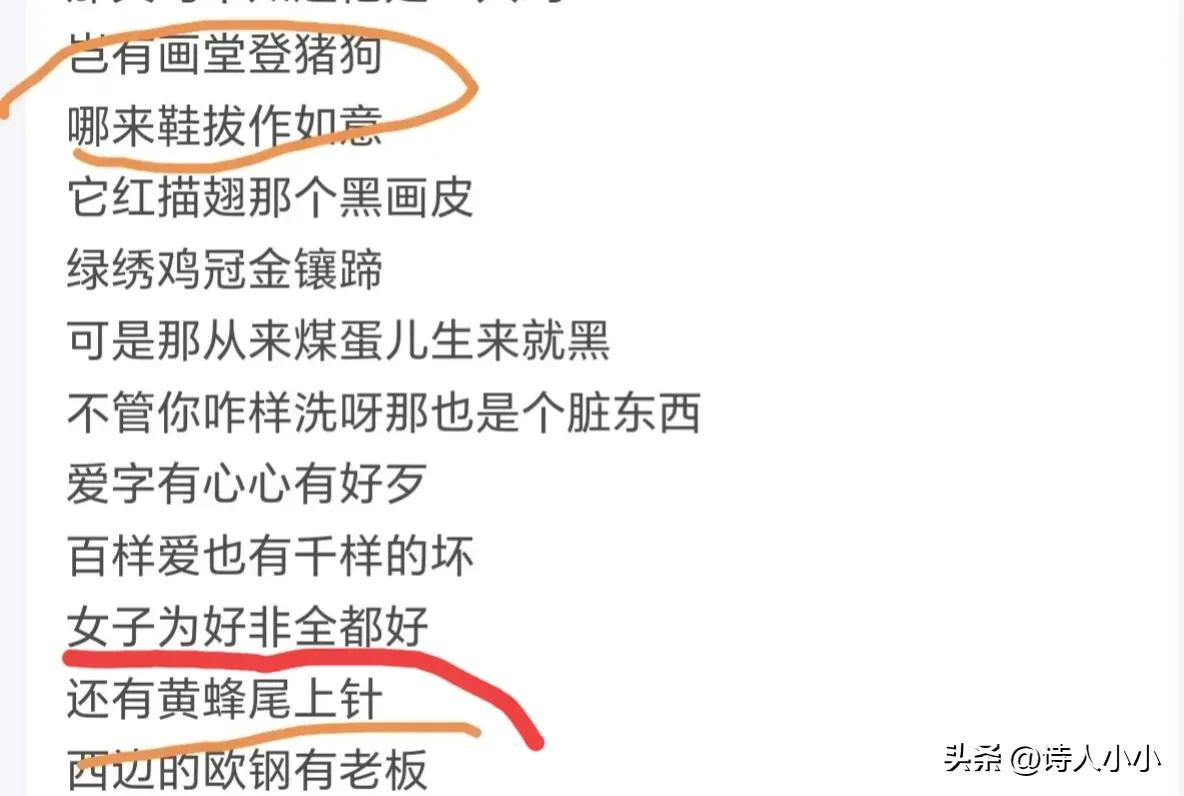 Dao Lang's new song 
