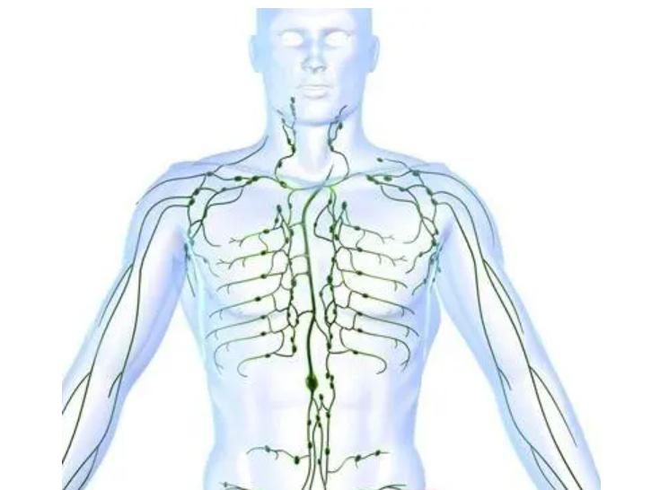 The relationship between disease and qi mechanism - iNEWS