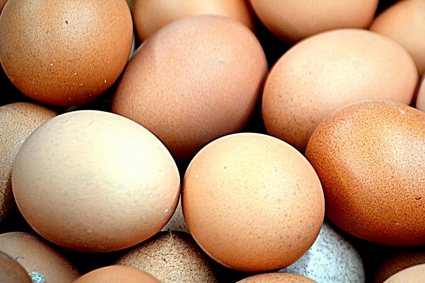 What egg is used for the custom of the vertical egg on the autumn