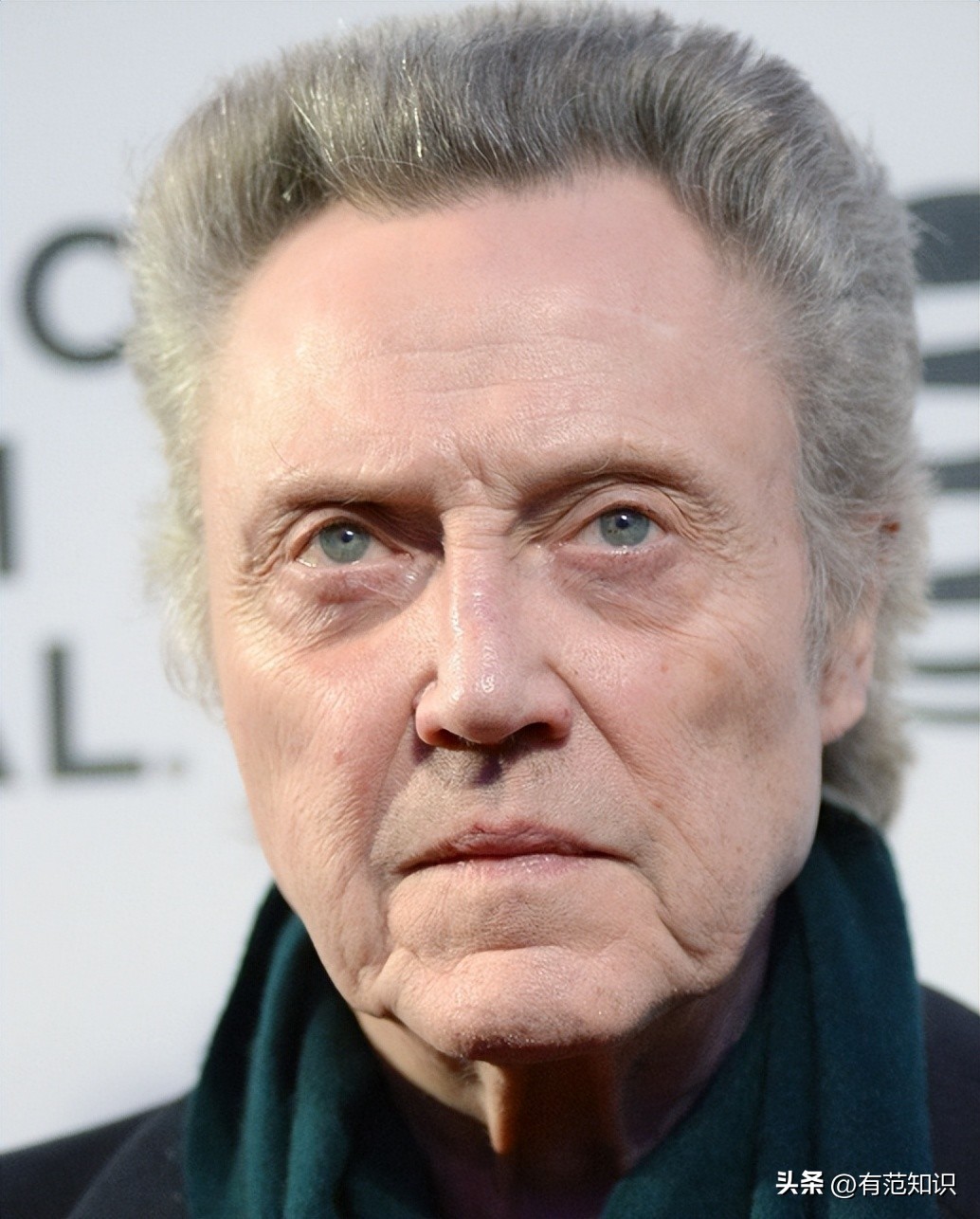 Unique Acting Skills Exploring the Charm of Christopher Walken's