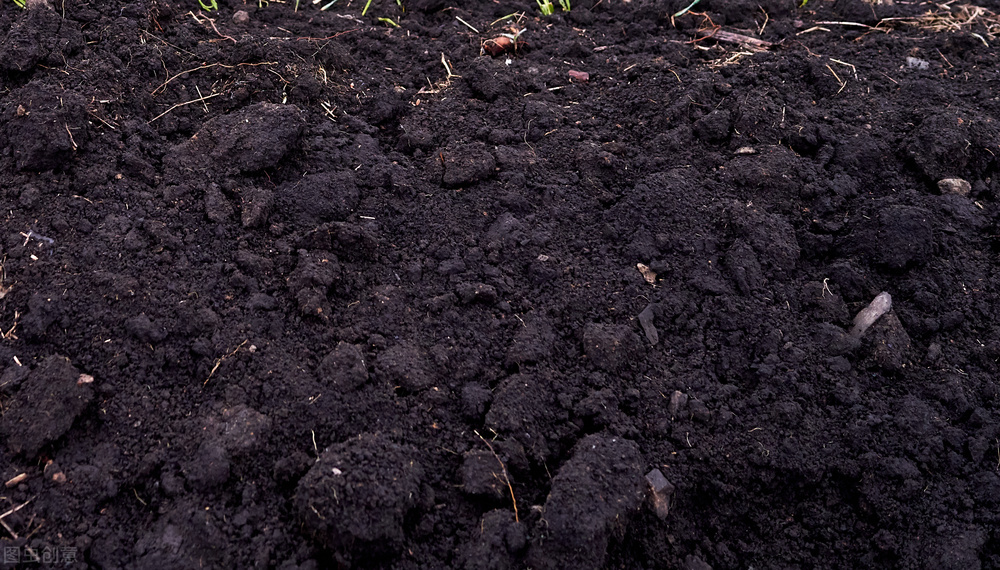 There are only 3 pieces of extremely precious black land in the world