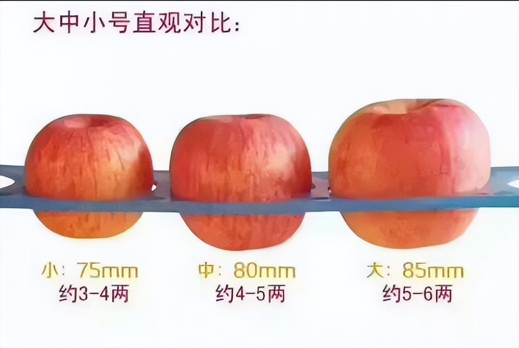 Eating 2 apples a day can effectively lower blood lipids?A followup