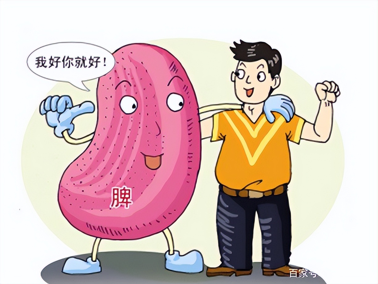 High blood lipids are mostly caused by spleen deficiency and phlegm