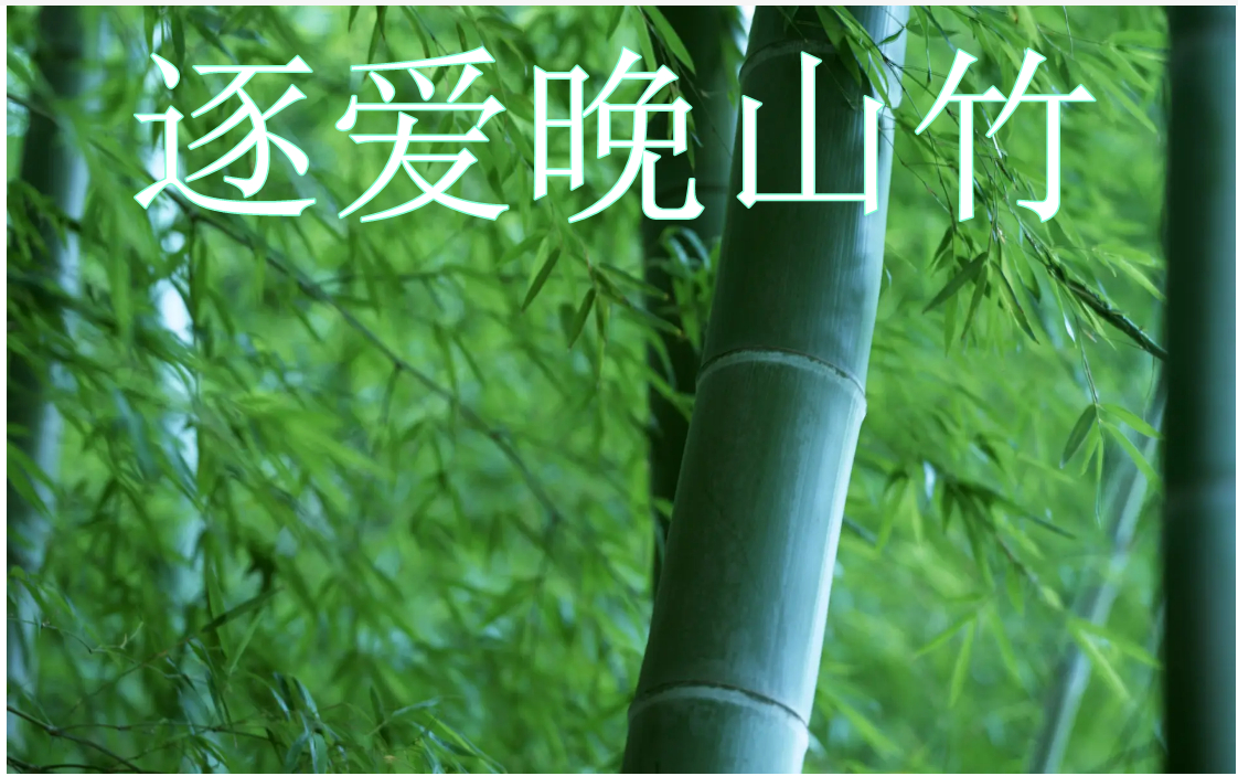 Ancient Bamboo Rhythm Ranking, 8 teams of bamboo culture, poetic