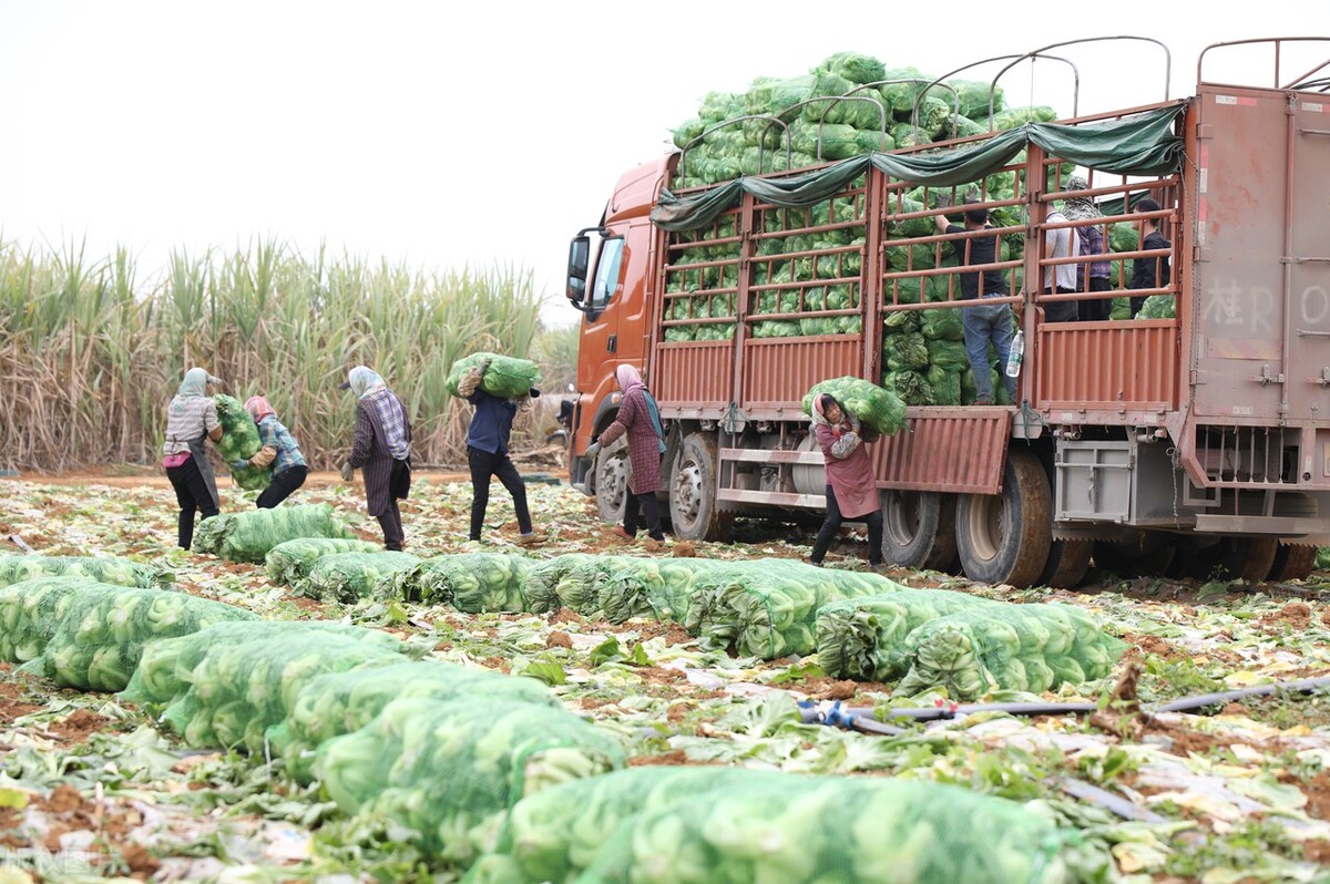 Tens of thousands of farmers have lost their crops, and thousands of