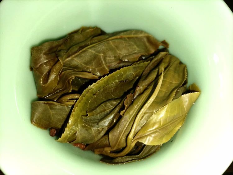Tasting Nannuo Mountain Ancient Tree Tea - iNEWS