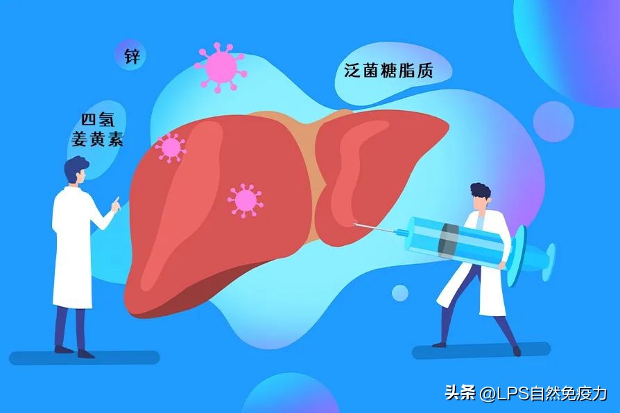 These foods will heal your injured liver iNEWS