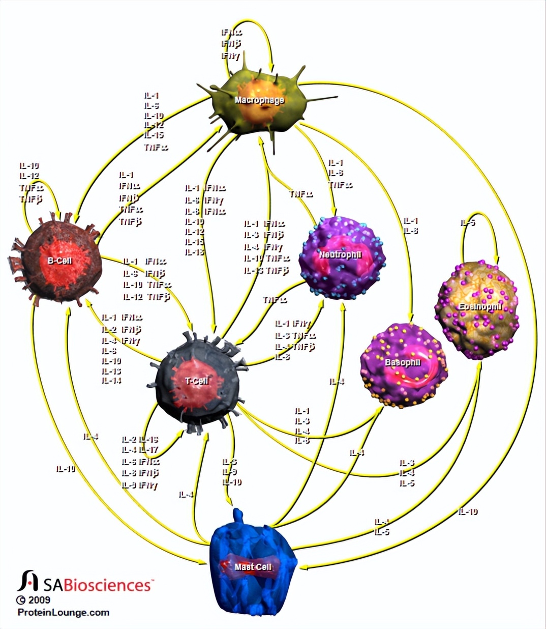 Beautiful cell signaling pathway diagram, your SCI paper is saved - iMedia
