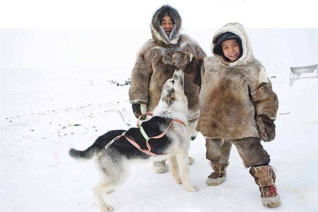 -50°C!Why don't the Inuit live in igloos?If you set fire in the house ...