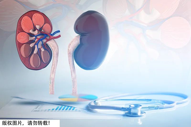 Want To Go To The Bathroom When You Are Nervous Is It Bad Kidney The Behaviors That Hurt The 