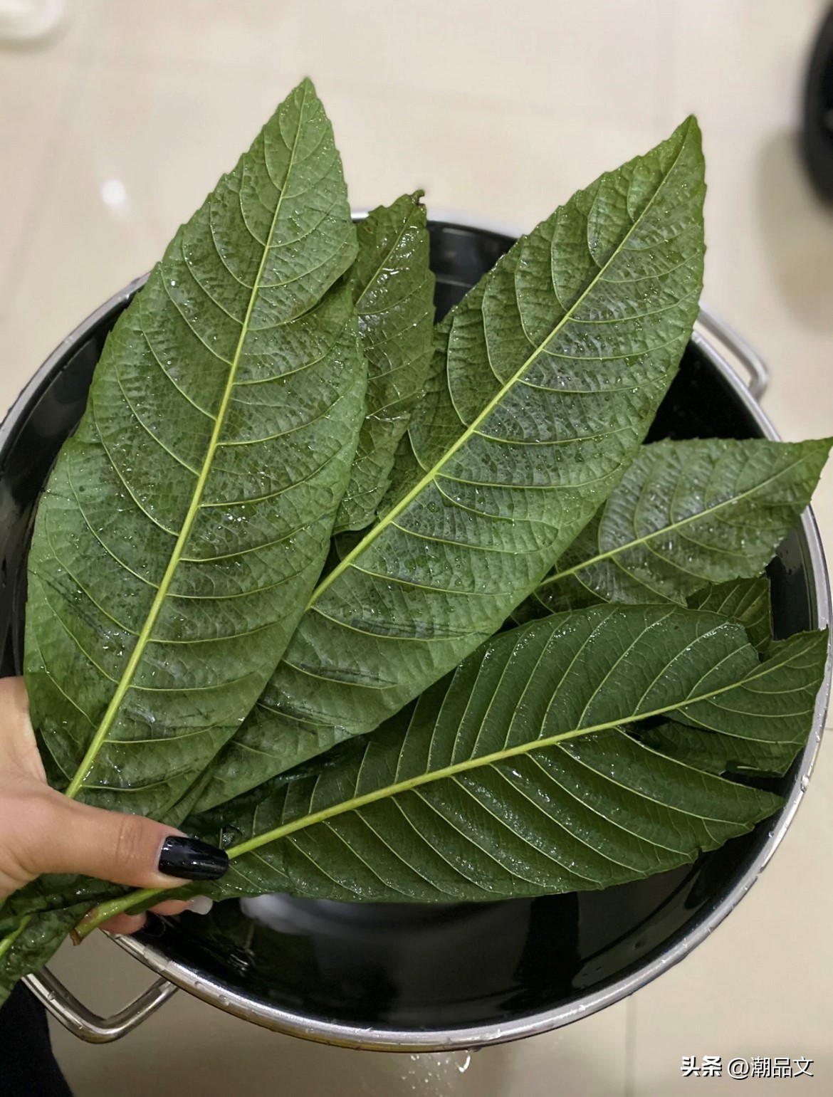 Loquat Extract
