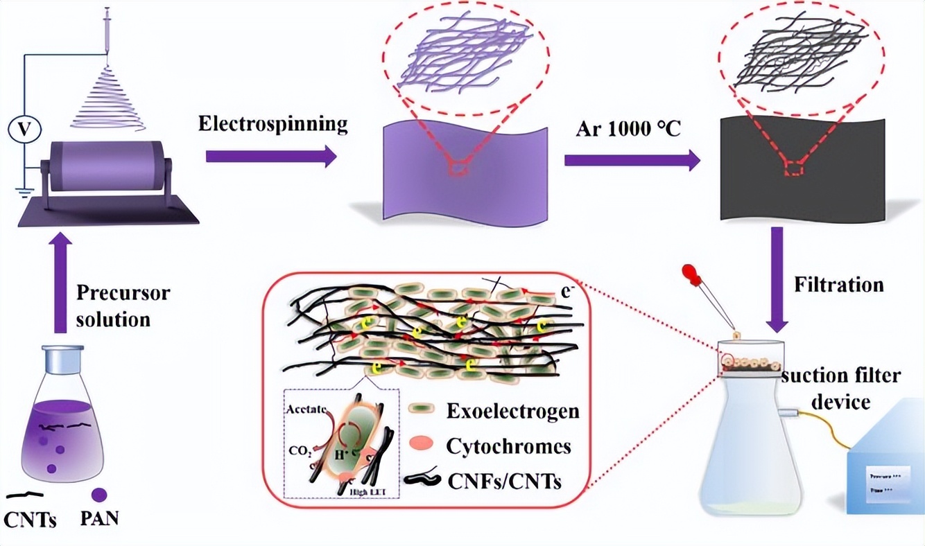 Oriented carbon nanofiber-coated carbon nanotube electrode materials ...