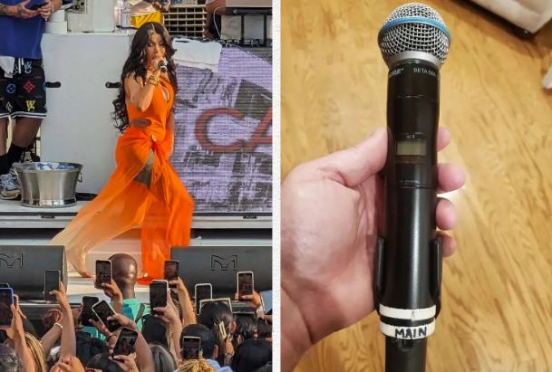 The microphone smashed the fan, boldly showed the sanitary strip of the ...