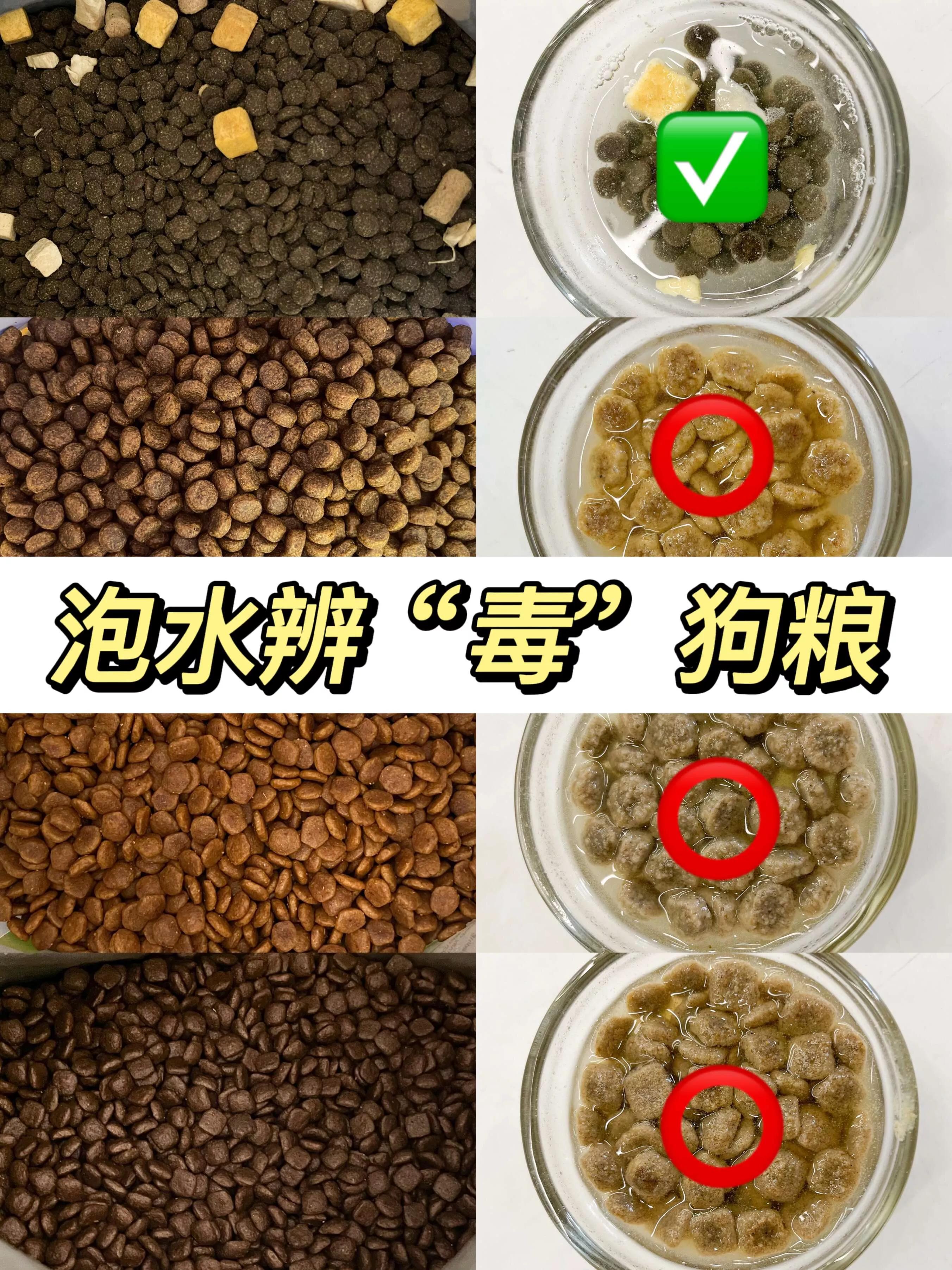 After 30 minutes of soaking in water, you can distinguish poisonous dog