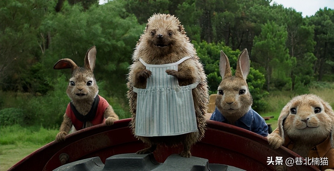 Unforgettable childhood memories: A group of cute little rabbits dared ...