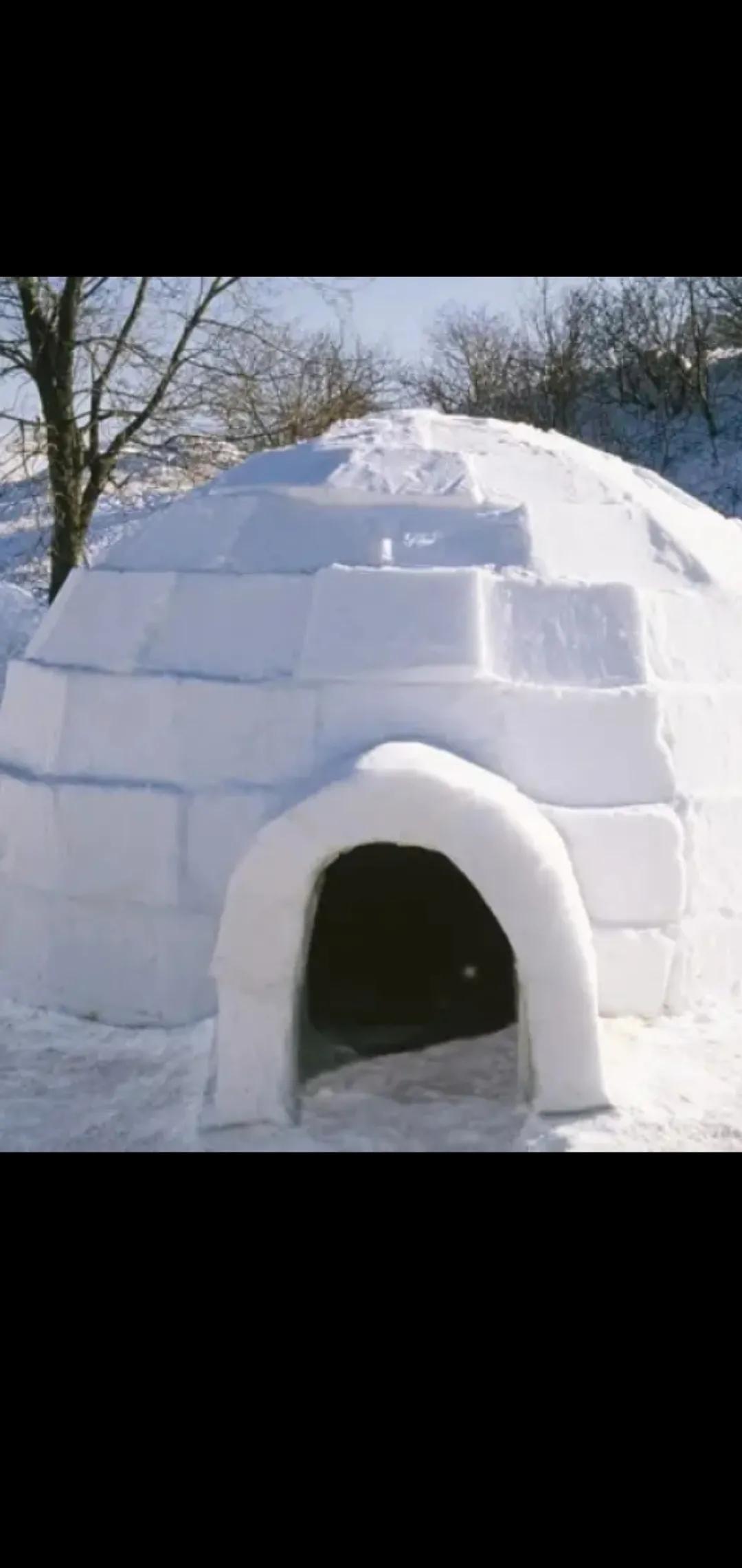 How did the Inuit survive in the Arctic where the outdoor temperature