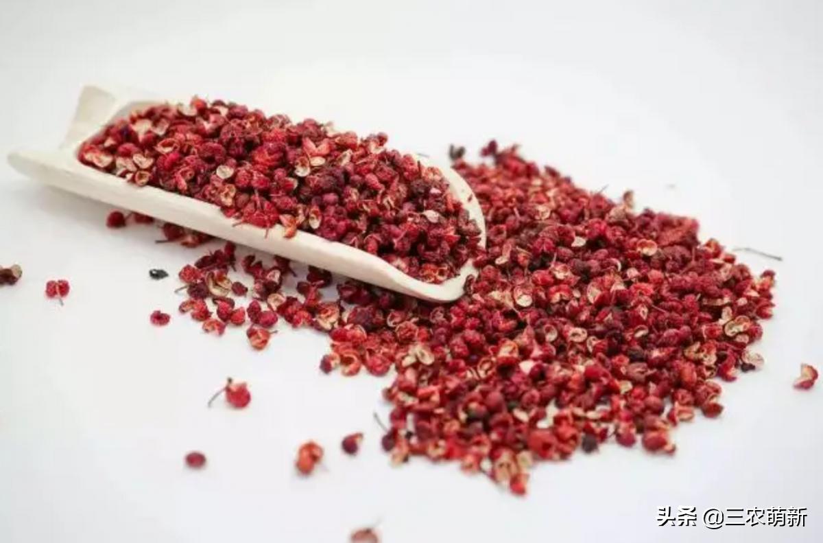 Small prickly ash has great knowledge, do you know so many types and ...