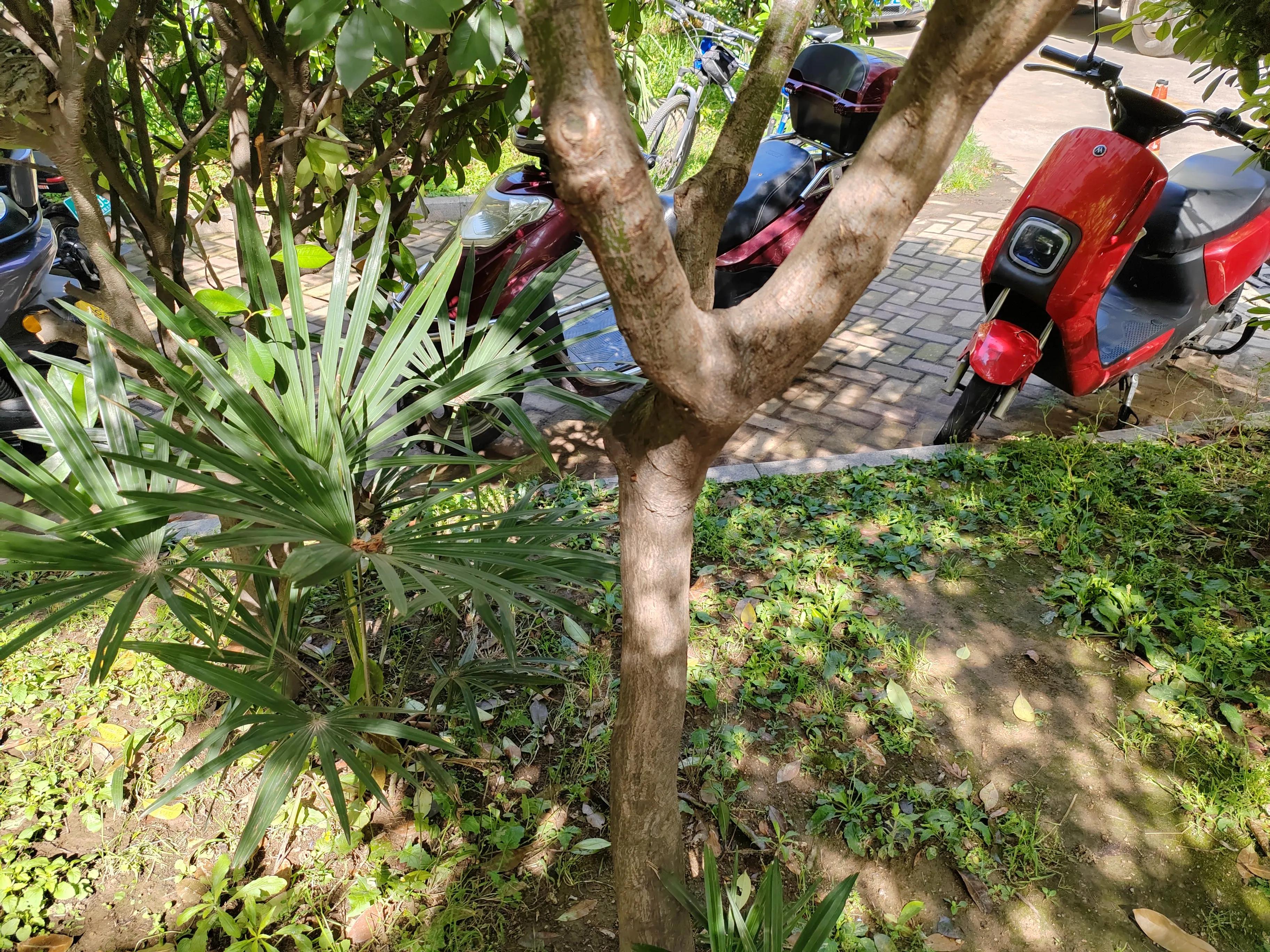 Why spend money on back massages? A small coup to solve the big