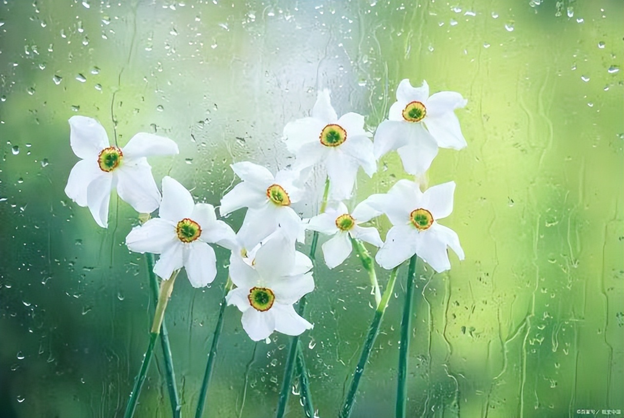 悲伤的句子正在下雨