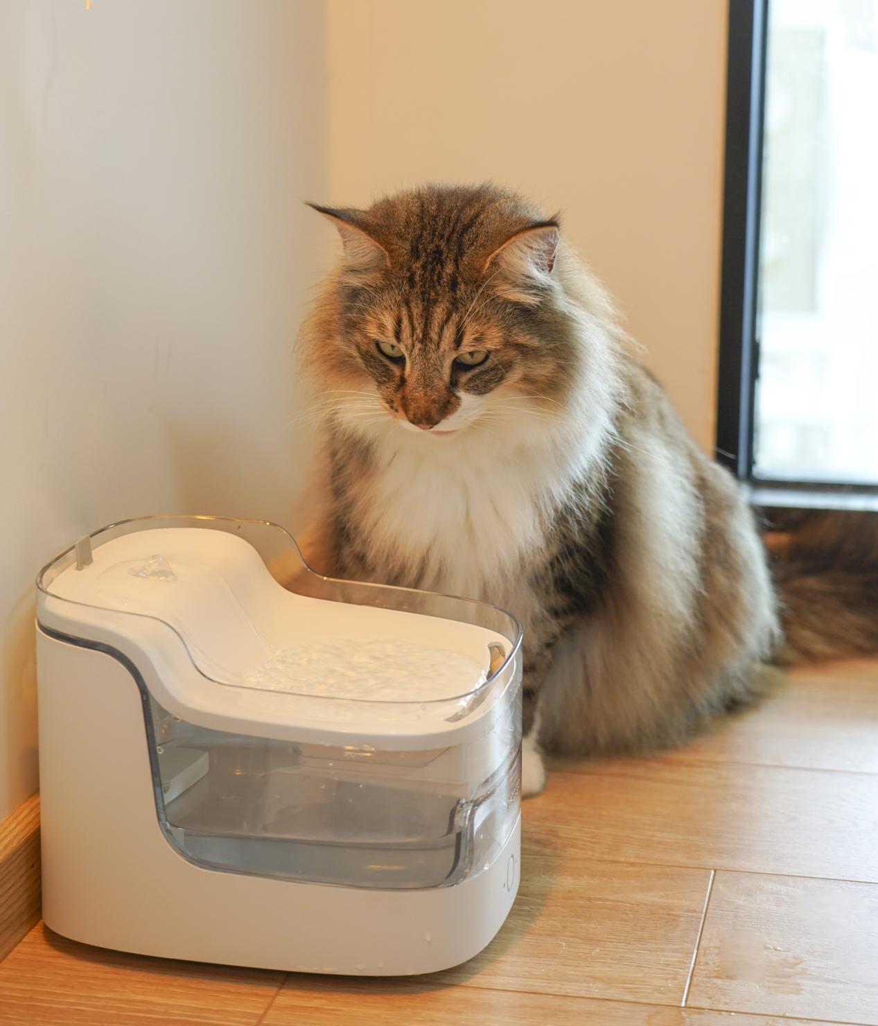 Why does the Chonggugu waterfall water dispenser make cats drink more